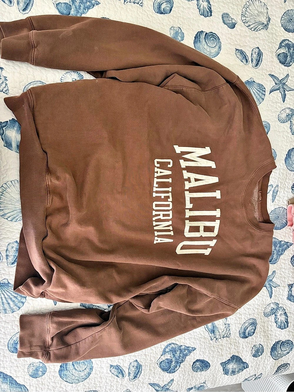 John galt Brown Graphic Sweatshirt